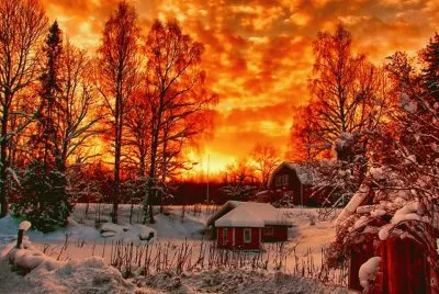 winter