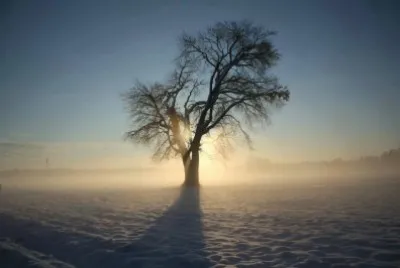winter
