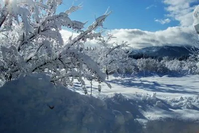 winter
