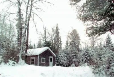 winter