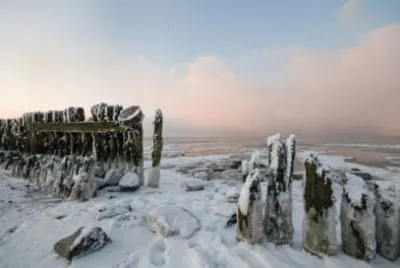 winter