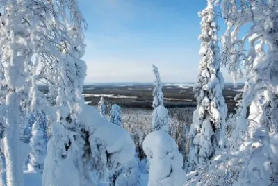 winter