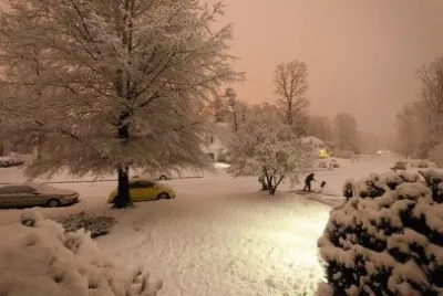 winter