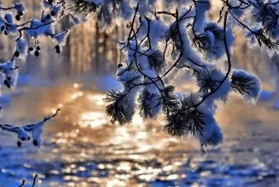 winter