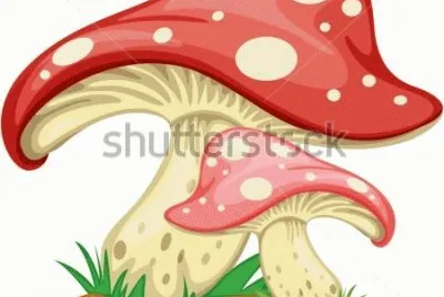 foto jigsaw puzzle