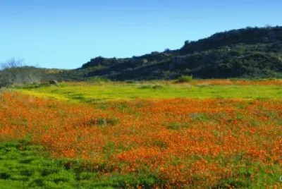 paisaje