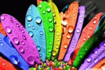 33 jigsaw puzzle