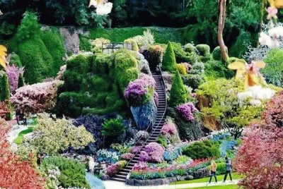 JARDÃN DE NIVELES