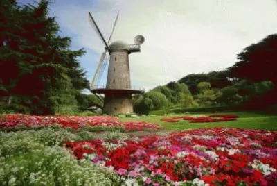 פאזל של Golden Gate Park Windmill-San Francisco