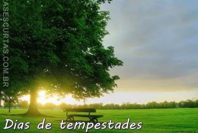frase jigsaw puzzle