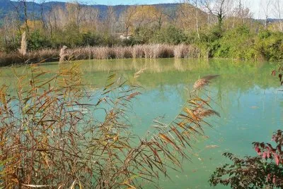 Estany- Banyoles