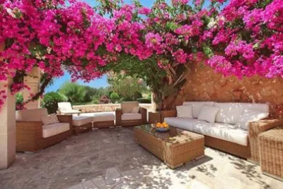 bugambilias jigsaw puzzle