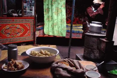 Mongolian Nomads
