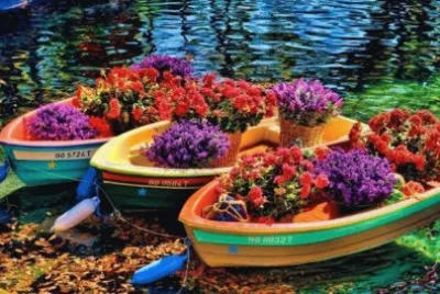 Barquinhos de Flores