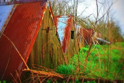Beauty in old things