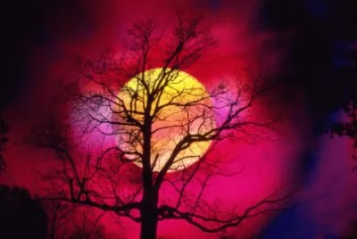 sol o luna