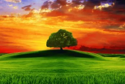 puesta de sol