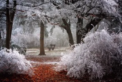 Winter in the Netherlands