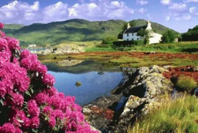 Cottage  Scotland