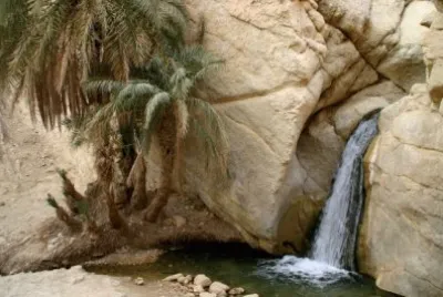 Small Oasis   in the Sahara