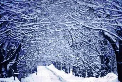 winter 21 jigsaw puzzle