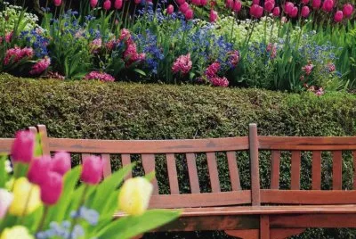 JardÃ¬ jigsaw puzzle