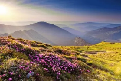 Landscape in Germany