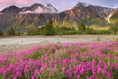 Wilderness  British Colombia  Canada