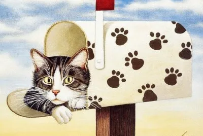 Gatos