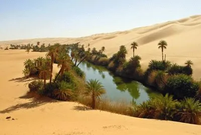 Oasis in the Sahara