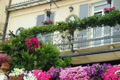 Many Flowers around the House