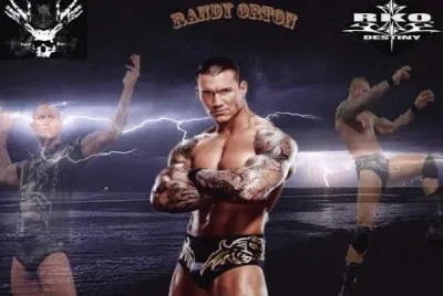 World Wrestling Entertainment jigsaw puzzle