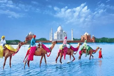 camellos del Taj Mahal