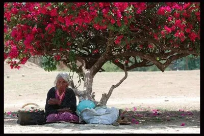 Old Lady resting in the shade  Mexico City
