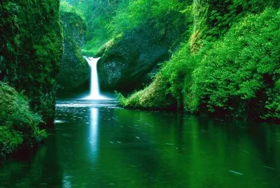 Punch Bowl Falls-Eagle Creek Widerness