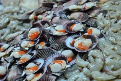 Delicacy from the Sea