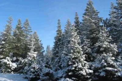 jan13 jigsaw puzzle