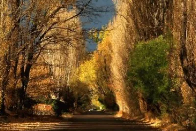 פאזל של autumn 23