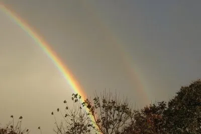 פאזל של Backyard rainbow