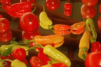 Peppers