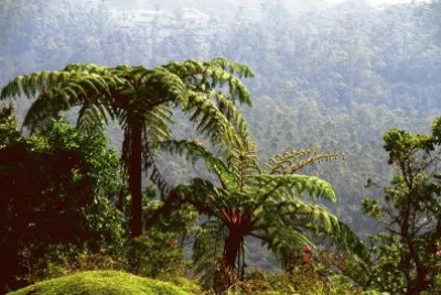 summer 24 jigsaw puzzle