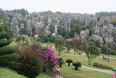 Stone Forest outside Kunming  Yunnan  China