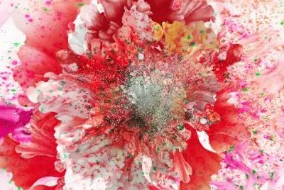 Flor