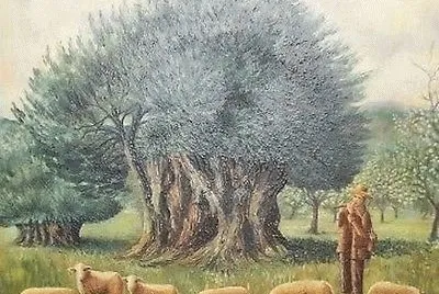 Escena