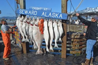 פאזל של Fish from Alaska   Seattle  USA