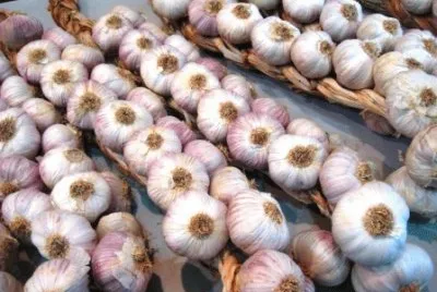 aglio
