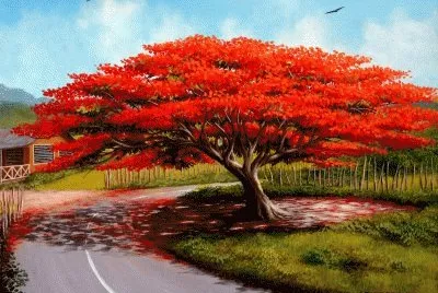 Flamboyan Pintura