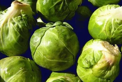 cavoletti di bruxelles