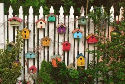 Birdhouse Garden