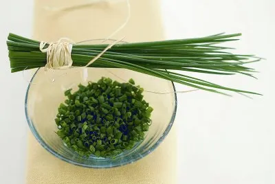 erba cipollina